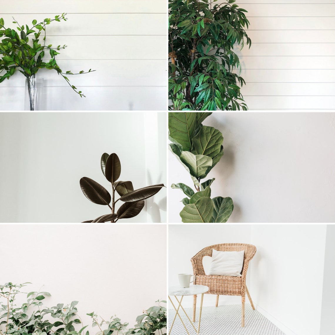 12 Minimalist Zoom Backgrounds Zoom Meeting Virtual Etsy Porn Sex Picture