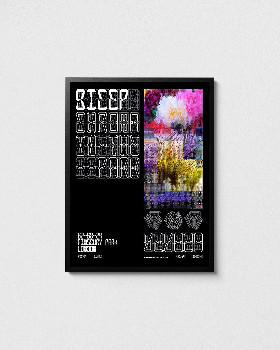 Bicep poster - Finsbury Park 2024 concert print, Dance music art, EDM posters, Music wall decor