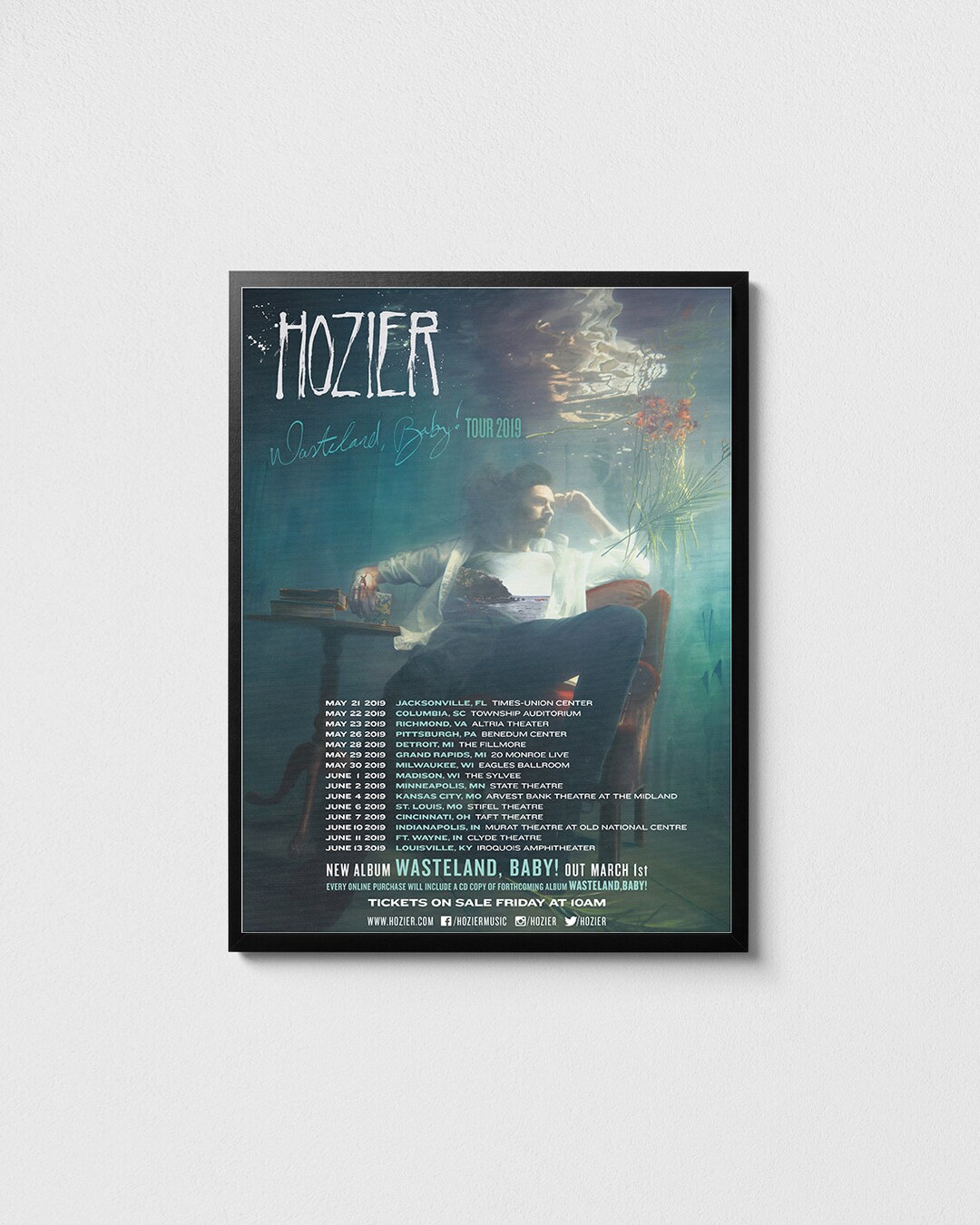 Hozier Poster, Hozier Wasteland, Baby Tour Poster, Indie Music Art