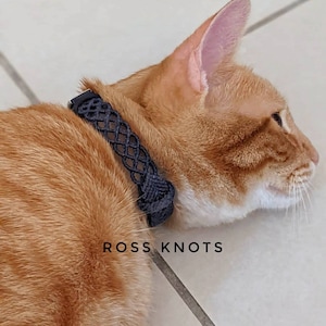 May include: An orange tabby cat wearing a dark blue macrame cat collar. The collar is intricately woven with a geometric pattern. The text "ROSS KNOTS" is displayed in white letters below the cat.