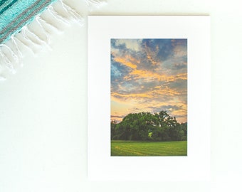 BF Matted Paper Print -- Rural Summer Sunset Tree Scene -- Ready to Frame 12x16 Lustre