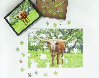 BF Puzzle Game -- Texas Longhorn Cattle Scene