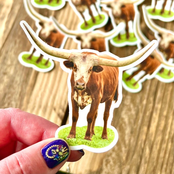 BF Sticker -- Texas Longhorn Cattle Weatherproof Vinyl Decal