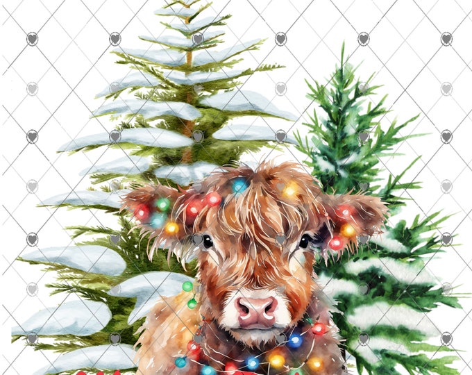 Merry Christmas Highland cow with Christmas Lights,  Digital Download, Shirt Design, Door sign Png, digital download, png file