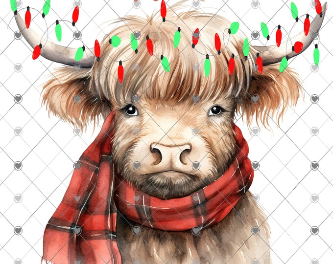 Merry Christmas Highland cow with Christmas Lights,  Digital Download, Shirt Design, Door sign Png, digital download, png file