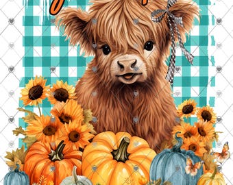 Hey Pumpkin Highland Kuh mit Kürbissen im Herbst png, Herbst Shirt Design, digitaler Download, png Datei, Herbst Flagge png