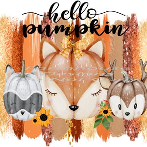 Hello Pumpkin Cute Animal Face Pumpkins, Racoon, Deer, Fox and Sunflowers, glitter brush strokes , shirt design , digital png, Fall png