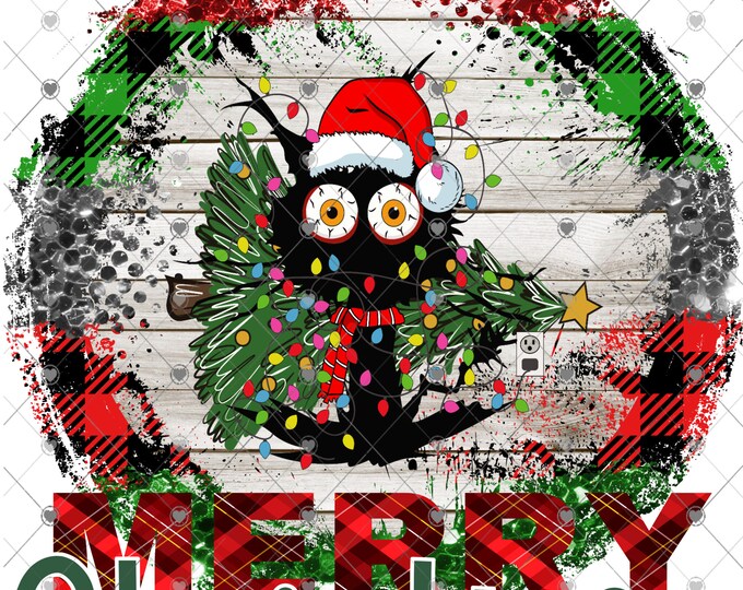 Merry Christmas, Crazy Cat with Lights Christmas Design, Funny Christmas, Digital Download, Shirt Design, Png, digital download, png file