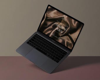 The Branding + Website Design – The Ultimate Business Transformation Package.