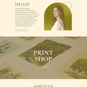 May include: Website design featuring illustrations and branding services. The page includes a print shop section, a contact form, and a portfolio of work. The design uses a soft color palette with floral accents and the text "ALEX FISHER".