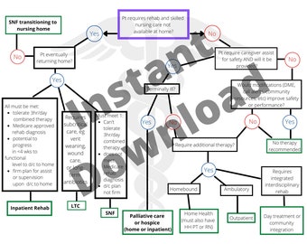 Può includere: Un diagramma di flusso con caselle e cerchi verdi, blu e viola. Il diagramma delinea il processo decisionale per i pazienti che richiedono riabilitazione e assistenza infermieristica specializzata. Include domande come "Il paziente tornerà a casa alla fine?" e "È in fase terminale?" Il diagramma si ramifica in diverse opzioni di assistenza, tra cui riabilitazione ospedaliera, assistenza a lungo termine, assistenza domiciliare e cure palliative.