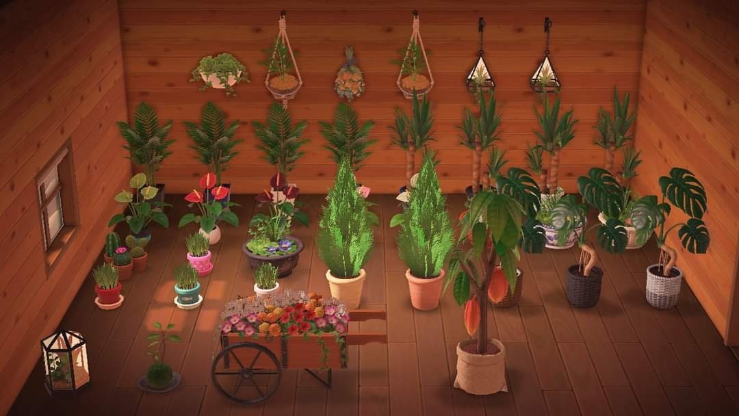 Acnh potted plants