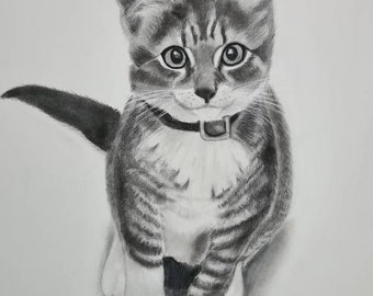 Hand drawn pencil Portrait.Pencil pet portrait.Cat portrait,pet drawing,dog portrait,