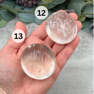 May include: Two clear quartz crystal palm stones, one slightly larger than the other, with the numbers 12 and 13 written on white circles above them.