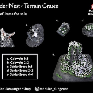 Terrainkisten – Spinnennest – Dungeons und Drachen
