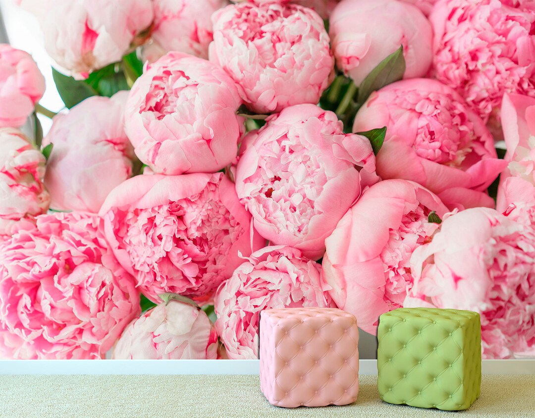 Peony Wall Mural Peel Stick Wallpaper Floral Art Print, Peony Print Removable Wallpaper