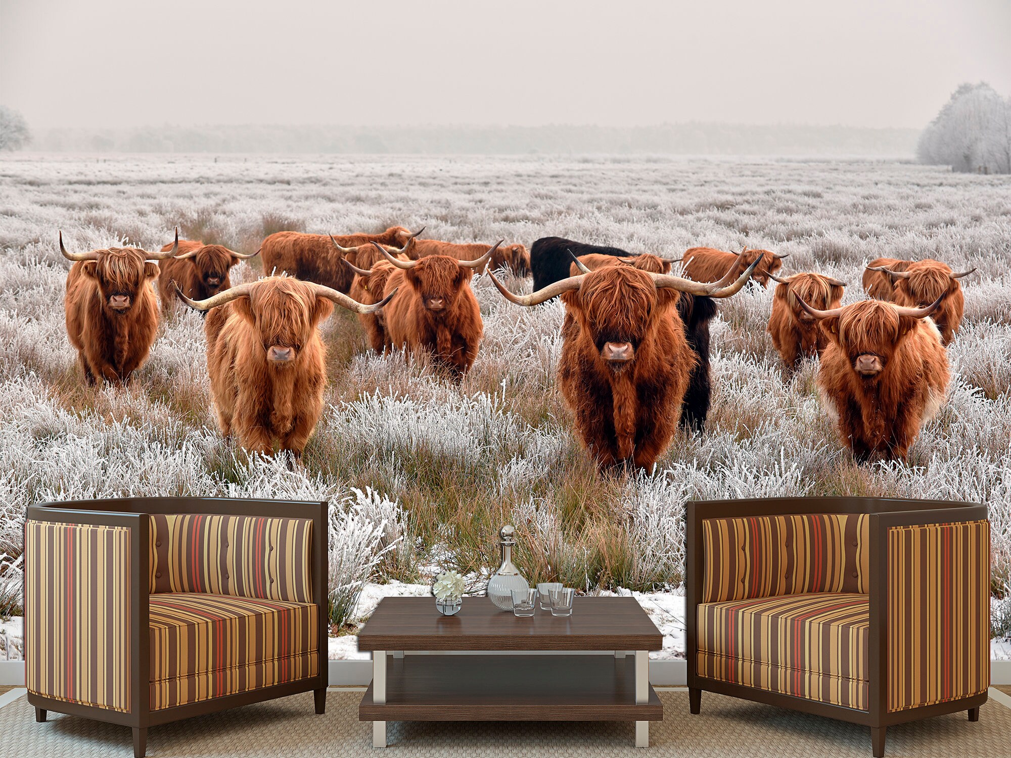 Highland Cow Print Removable Wallpaper Longhorn Wall Art Bedroom