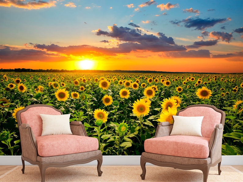 Sunflower Wallpaper Peel Stick Wallpaper Summer Wall Art, Sunflower