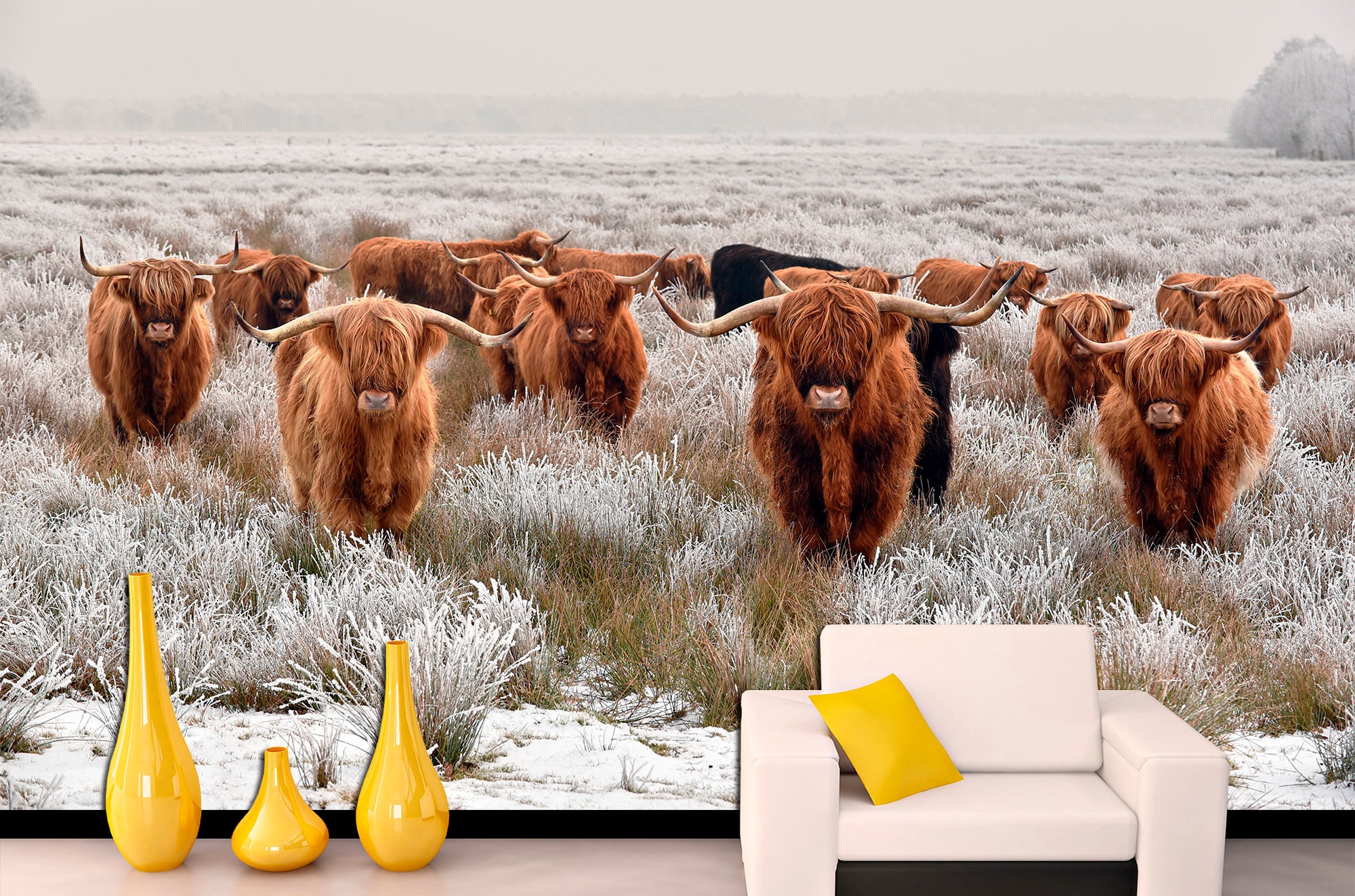 Highland Cow Print Removable Wallpaper Longhorn Wall Art Bedroom Wallpaper Texas Longhorns Highland Cow Decor Peel Stick Wallpaper Etsy