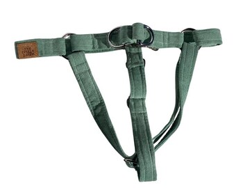 Sea Foam Harness