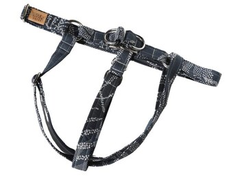 Indigo Dream Harness