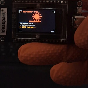 Il virus