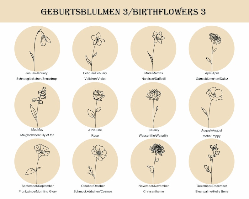 Peut inclure: Une grille de douze ic&ocirc;nes circulaires sur fond beige, chacune pr&eacute;sentant un dessin au trait noir d'une fleur de naissance. Les &eacute;tiquettes incluent 'GEBURTSBLUMEN 3/BIRTHFLOWERS 3' et les noms de chaque mois de janvier &agrave; d&eacute;cembre en allemand et anglais.