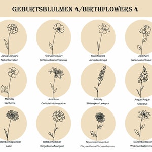 Peut inclure: Une grille de douze ic&ocirc;nes circulaires beiges pr&eacute;sentant des illustrations au trait noir de fleurs de naissance. Le texte GEBURTSBLUMEN 4/BIRTHFLOWERS 4 figure en haut. Chaque cercle contient une fleur &eacute;tiquet&eacute;e avec son mois et son nom.