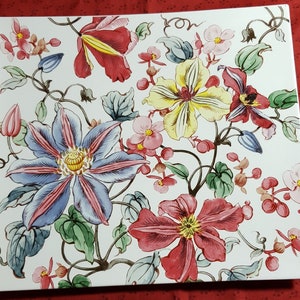 Vintage Gein Clematites Plate In Box