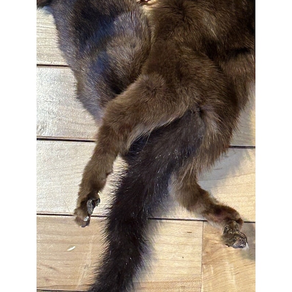Vintage Mink Fur Wrap Stole-with 4 Full Body Pelt… - image 2