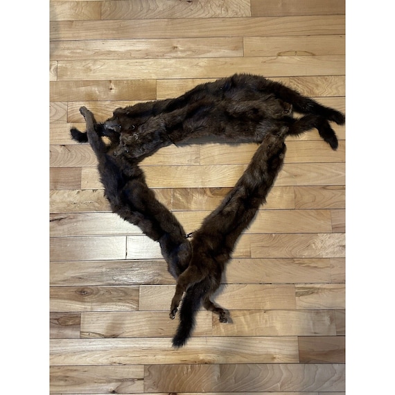 Vintage Mink Fur Wrap Stole-with 4 Full Body Pelt… - image 1