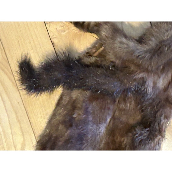 Vintage Mink Fur Wrap Stole-with 4 Full Body Pelt… - image 9