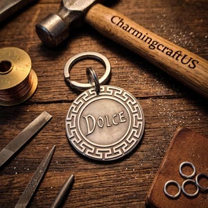 Médaille d'identification personnalisée en acier inoxydable pour animal de compagnie, médaille personnalisée pour chien et chat