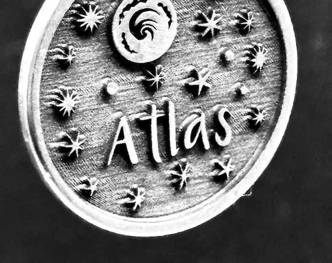 Custom Engraved Stainless Steel Pet ID Tag – Circle Dog Tag, Lifetime Guarantee