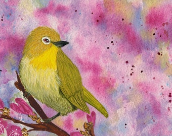 Hand Painted Japanese White-eye, Bird Watercolor Painting, Pink &Yellow Bird Wall Art, Unfremed 8.3" x 5.8", Small Original Japan Wildlife