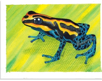 Colorful Poison Arrow Frog Watercolor Painting - Original Wildlife Art