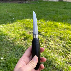 May include: A small, black-handled knife with a silver blade. The knife is held in a hand against a green grassy background.