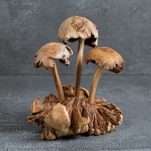 May include: A wooden sculpture of four mushrooms with brown and tan tones. The mushrooms are arranged in a cluster on a base of wood with a rough texture.