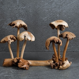 Exotic Wooden Mushroom 9&quot; Width, Mushroom Figurine, Mushroom Miniature, Handicraft Statue, Shelf Decor, Cottagecore Decor, Gift for Him