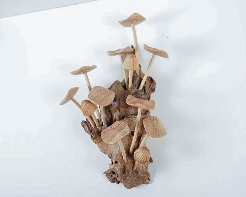 May include: A decorative sculpture featuring multiple carved wooden mushrooms of varying sizes attached to a piece of textured, gnarled driftwood. The mushrooms have smooth, light brown caps with visible radial lines and slender, cylindrical stems.