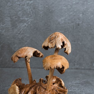 May include: Three wooden mushroom sculptures arranged in a stack on a wooden base. The mushrooms are a light brown color and have a natural wood grain.