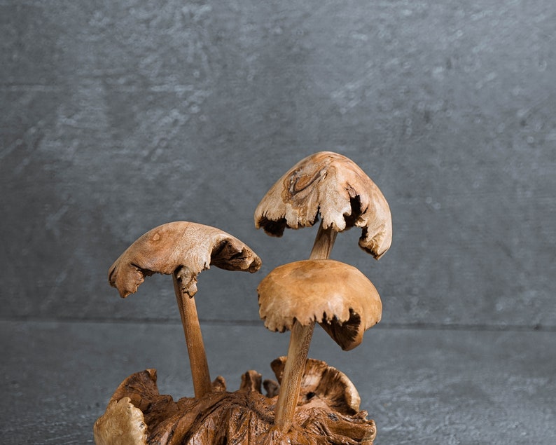 May include: Three wooden mushroom sculptures arranged in a stack on a wooden base. The mushrooms are a light brown color and have a natural wood grain.
