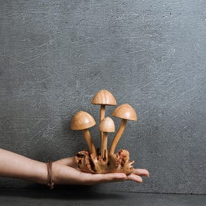 Pu&ograve; includere: Una scultura decorativa composta da quattro funghi in legno marrone chiaro con cappelli lisci e arrotondati e steli sottili, tutti fissati su una base di legno naturale nodoso e strutturato che funge da supporto per il gruppo di funghi.