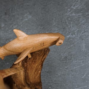 May include: A wooden hammerhead shark sculpture with visible grain and a natural finish. The shark is mounted on a piece of driftwood, showcasing the craftsmanship and detail of the carving. The sculpture has fins and gills.
