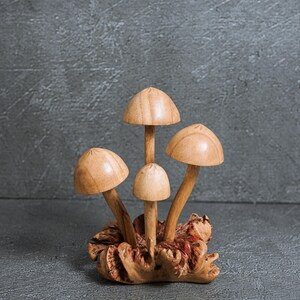 Pu&ograve; includere: Una scultura decorativa composta da quattro funghi in legno marrone chiaro, lisci e di altezze variabili. I cappelli sono arrotondati e levigati, fissati su steli sottili che emergono da una base in legno nodosa e testurizzata dai toni rossastri.