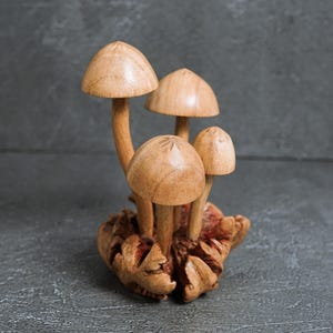 Pu&ograve; includere: Una scultura decorativa composta da quattro funghi in legno marrone chiaro, lisci e di altezze variabili, fissati su una base in legno nodoso e testurizzato. I cappelli sono arrotondati e levigati, mentre i gambi sono sottili e ancorati alla base.
