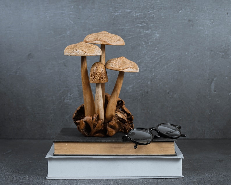 Wooden Mushroom Sculpture 8.2, Wood Carving, Rustic Figurine, Handmade, Garden Decor, Table Decor, Room Decor, Gift for Mom, Lucky Gifts image 9