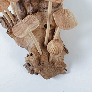 May include: A decorative sculpture featuring multiple carved wooden mushrooms with textured, radial-lined caps and smooth stems, all securely attached to a piece of natural, gnarled driftwood with a rough, organic surface and deep crevices.