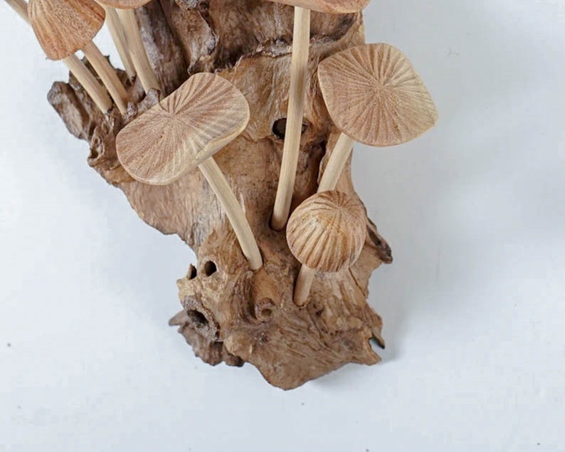 May include: A decorative sculpture featuring multiple carved wooden mushrooms with textured, radial-lined caps and smooth stems, all securely attached to a piece of natural, gnarled driftwood with a rough, organic surface and deep crevices.
