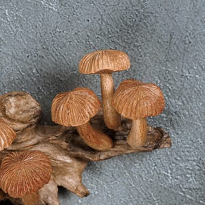 May include: A decorative sculpture featuring five carved wooden mushrooms attached to a piece of natural driftwood. Each mushroom has a light brown finish with detailed radial lines on the cap and a smooth, curved stem, creating a realistic appearance.